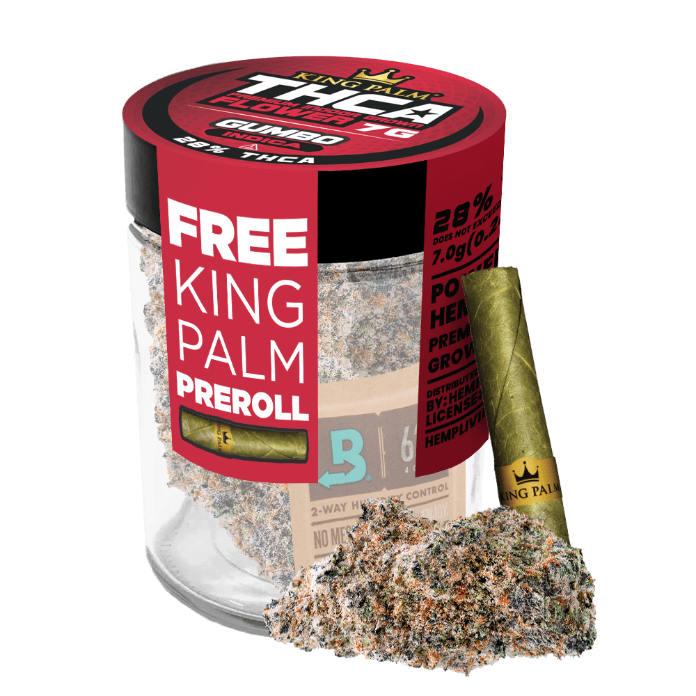 King Palm Gumbo 7G